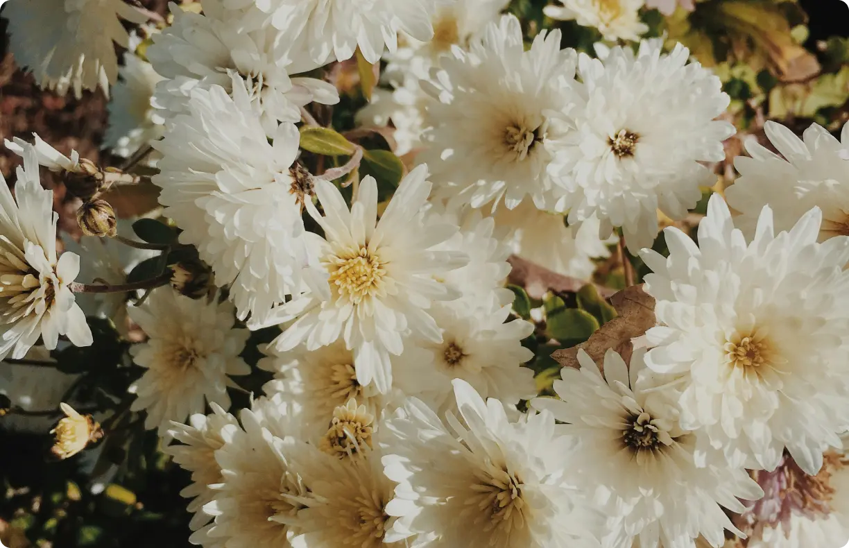 Florists and More